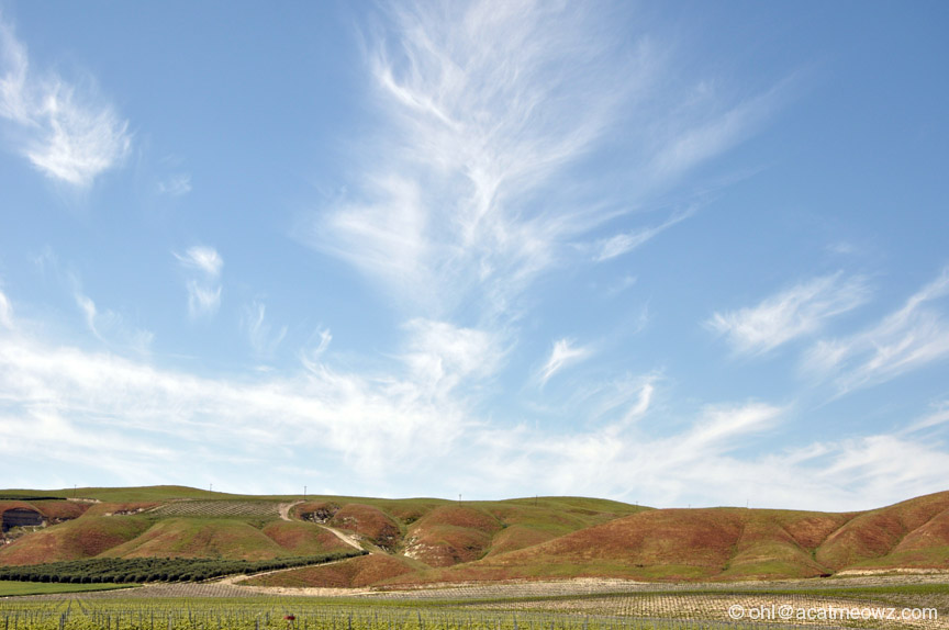 2010.04.26 0254p PasoRobles